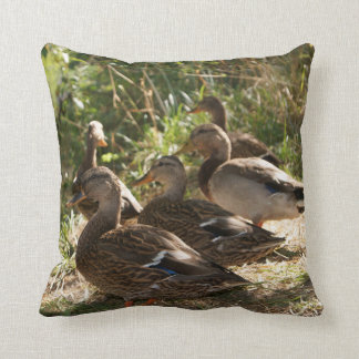 Gruppe Enten, Wurfs-Kissen Kissen