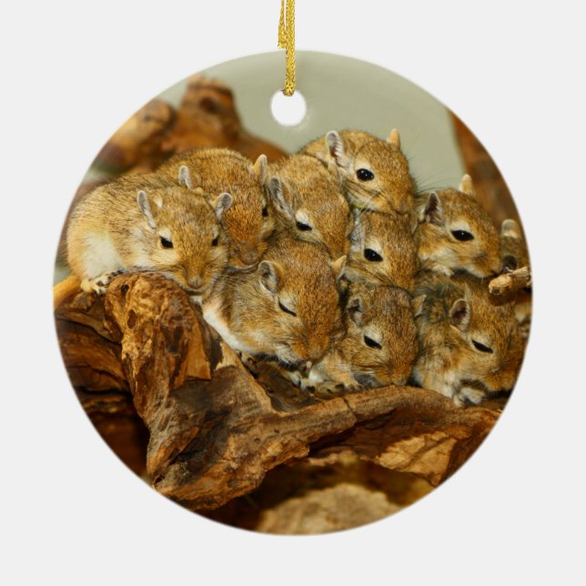 Gruppe mongolischen GerbilsMeriones Unguiculatus Keramikornament (Hinten)