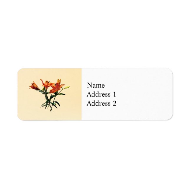 Gruppe Orange Lilies (Vorne)