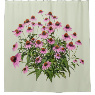 Gruppe rosa Scheinsonnenhüte Duschvorhang