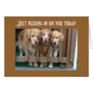 GRUPPE SAGT RUN UM CHASE SCHWANZ