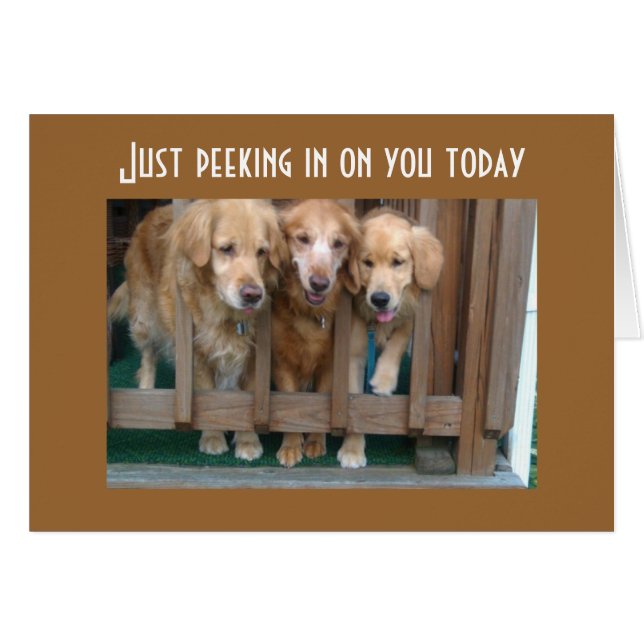 GRUPPE SAGT RUN UM CHASE SCHWANZ (Vorderseite (Horizontal))