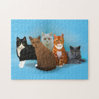 Gruppe schöne Katzen für Katzen Liebhaber Puzzle
