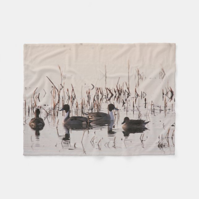 Gruppe Spießenten-Enten erfassen und Schwimmen in Fleecedecke (Vorderseite (Horizontal))
