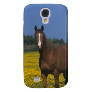 Gruppe Thoroughbred-Pferde Galaxy S4 Hülle
