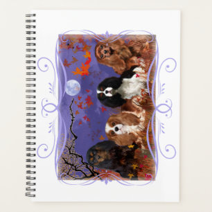 Gruppe von 4 King Charles Cavalier Spaniels Planer