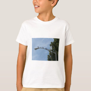 Gruppe von acht Tauben, die auf dem Lampen-Posten T-Shirt
