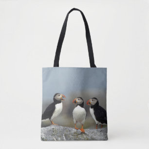 Gruppe von Atlantik-Papageientauchern Tasche