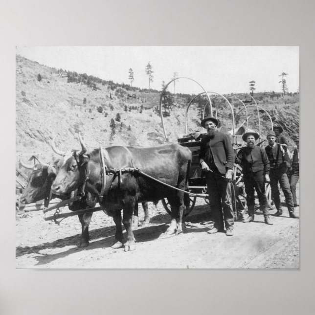 Gruppe von Goldprospektoren Fotografie Poster (Vorne)