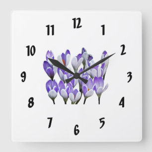 Gruppe von Krokussen Quadratische Wanduhr