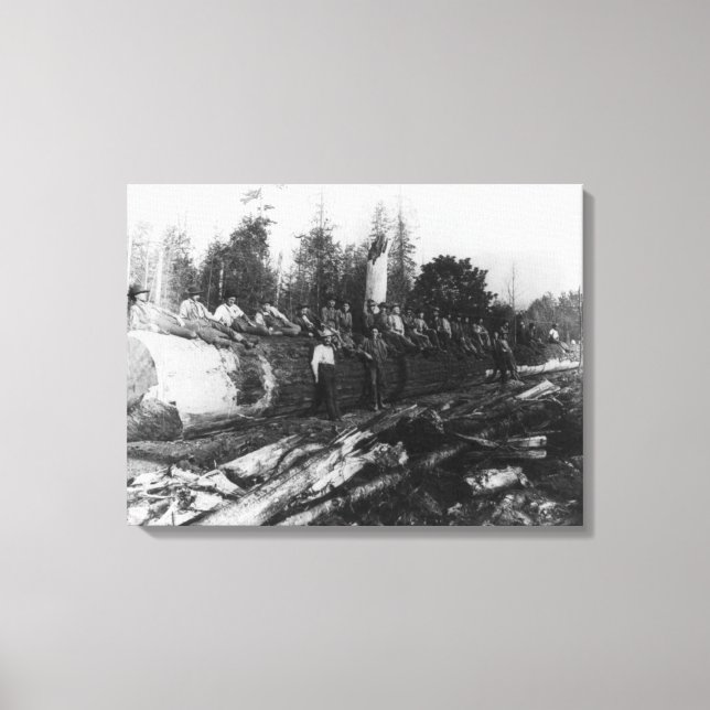 Gruppe von Lumberjacks auf großen Protokollfotos Leinwanddruck (Vorderseite)