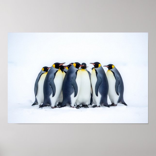 Gruppe von Pinguinen Poster (Vorne)