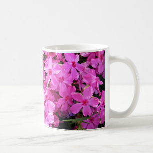 Gruppe von rosa Phlox Kaffeetasse