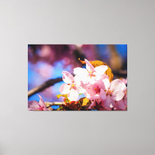 Gruppe von Sakura-Blume, weich rosa, blau Hintergr Leinwanddruck