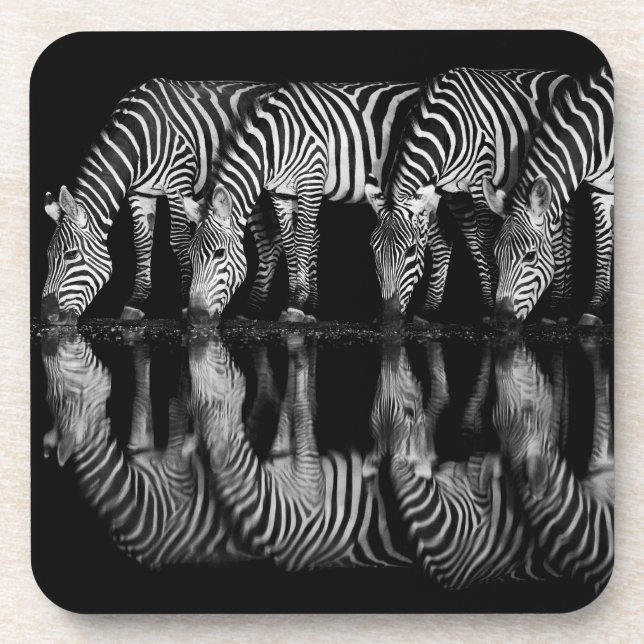 Gruppe von Steppenzebras trinkt nachts zusammen Getränkeuntersetzer (Vorderseite)
