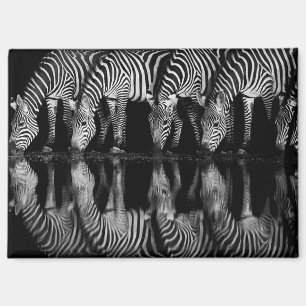 Gruppe von Steppenzebras trinkt nachts zusammen Magnet