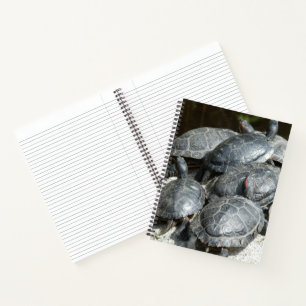 Gruppe von Sumpfschildkröten Foto Notizbuch