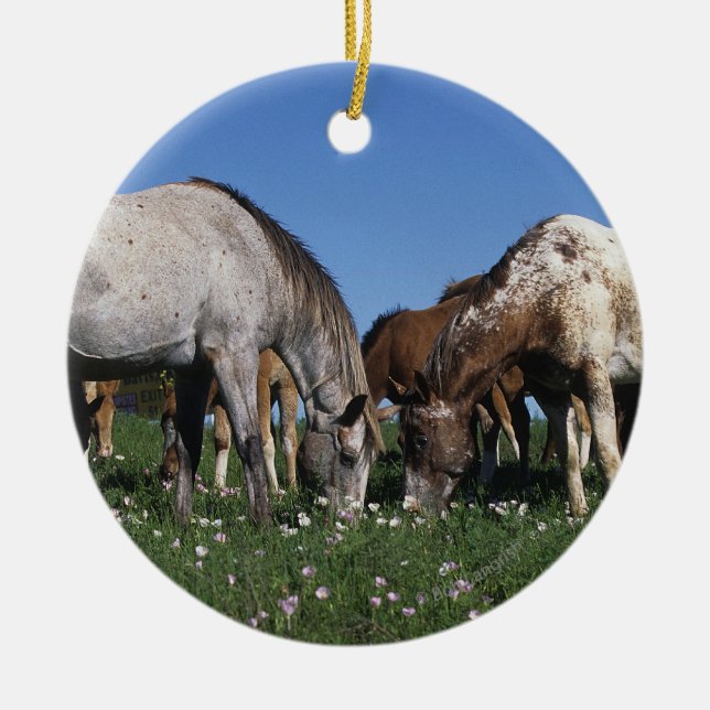 Gruppe weiden lassende Appaloosa-Pferde Keramik Ornament (Vorne)