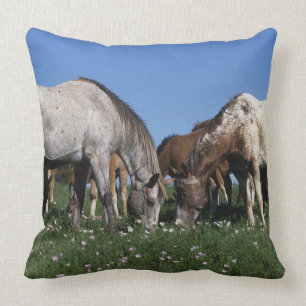 Gruppe weiden lassende Appaloosa-Pferde Kissen