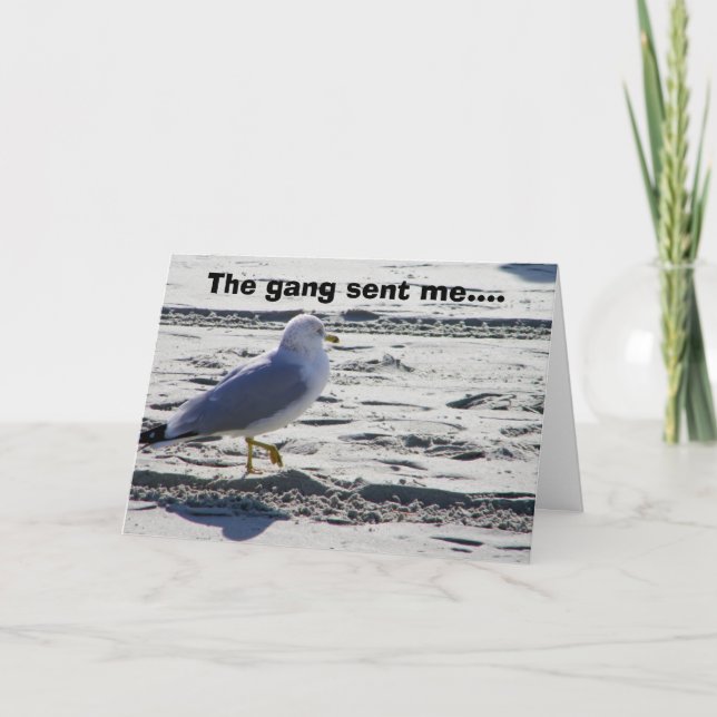 GRUPPENPARTY SEAGULL SPASS BIRTHDAY KARTE (Vorderseite)
