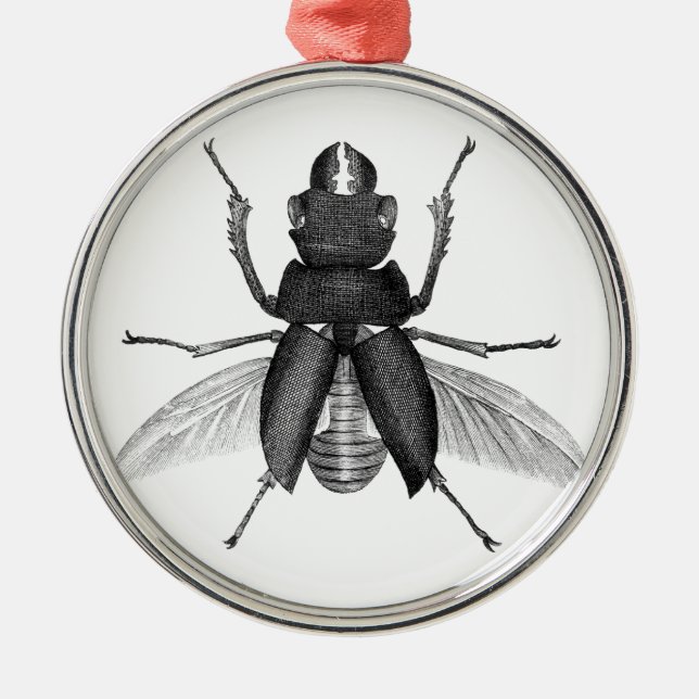 Gruselige Käfer-Wanze mit Scarey Pincher Silbernes Ornament (Vorne)