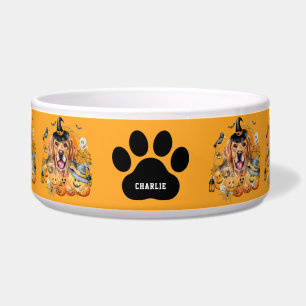 Gruselige Saison Niedlicher Golden Retriever Hallo Napf