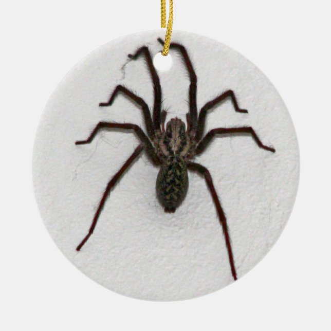 Gruselige Spinne Keramikornament (Vorne)