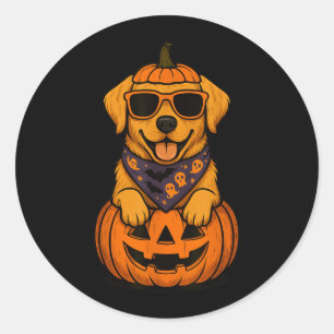 Gruseliger Gelber Labrador Retriever Kürbis Hallow Runder Aufkleber