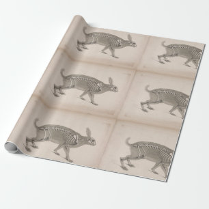 Gruseliges Vintage-Hasenskelett Geschenkpapier