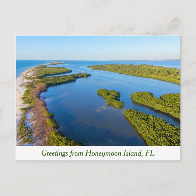 Gruß aus der Insel Honeymoon, Florida Postkarte (Vorderseite)