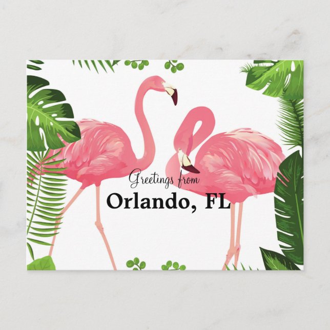 Gruß aus Orlando, FL—rosa Flamingos Postkarte (Vorderseite)