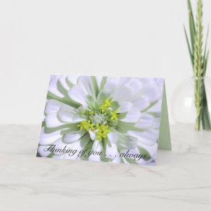 Gruß des Karte-Denkens an Sie-Lemony weißen Zinnia Karte
