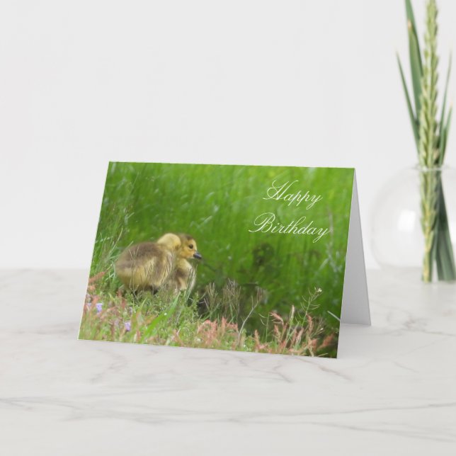 Gruß Geburtstag oder Grußkarte. Anpassen Karte (Vorderseite)