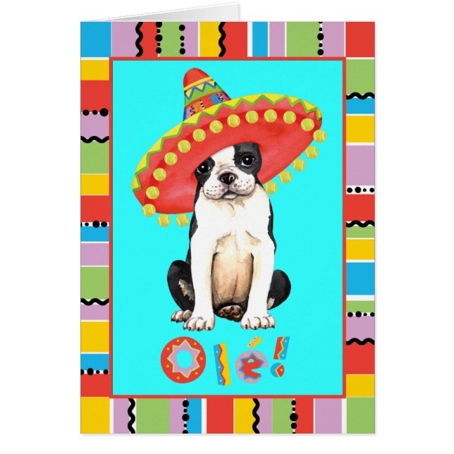 Gruß-Karte Fiesta-Bostons Terrier (Vorne)