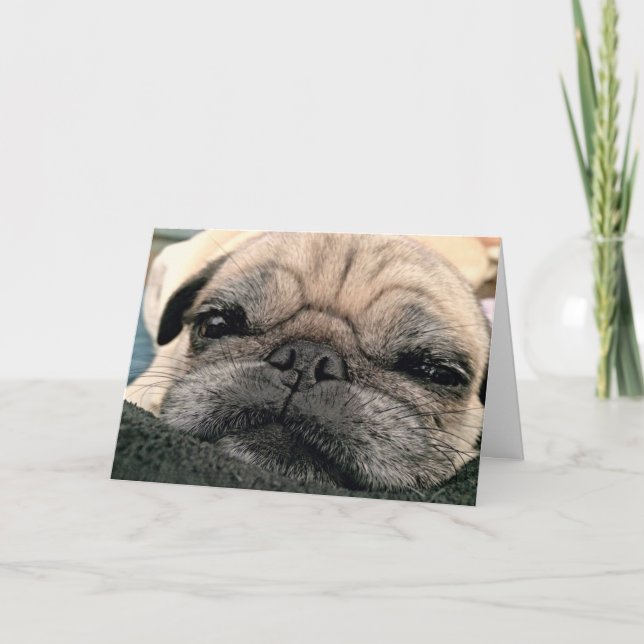 Gruß-Karte: Itsy Mops/Fräulein Ihr Gesicht Karte (Vorderseite)