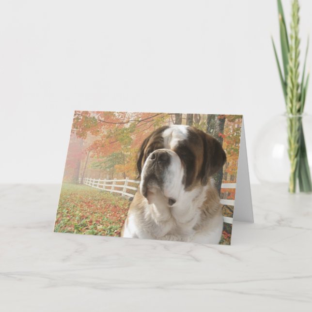 Gruß-Karte Karte (Vorderseite)