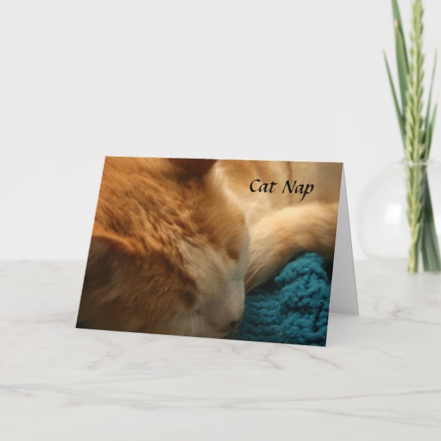 Gruß-Karte: Katzen-Nickerchen Karte (Vorderseite)