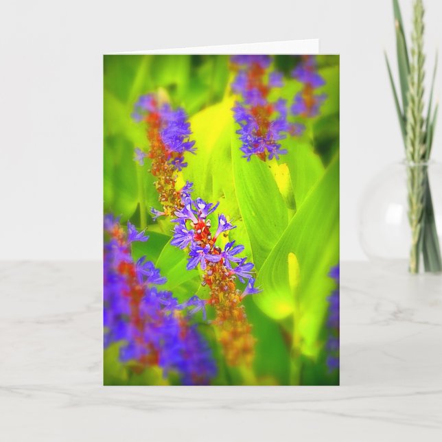 Gruß-Karte - löschen Sie nach innen Karte (Vorderseite)