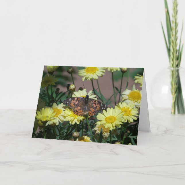 Gruß-Karte mit Schmetterling und gelben Blumen Karte (Vorderseite)