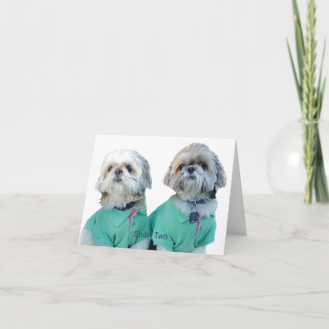 Gruß-Karte Shih Tzu - Shih zwei Karte (Vorderseite)