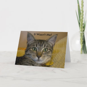 Gruß-Karte: Sie war nicht ich Katze Karte