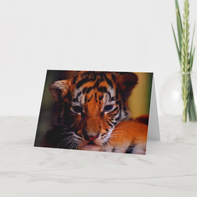 Gruß-Karten-Raum-Tiger CUB Karte (Vorderseite)