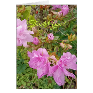 Gruß mit Lavendelblüten auf Azalee. Danke