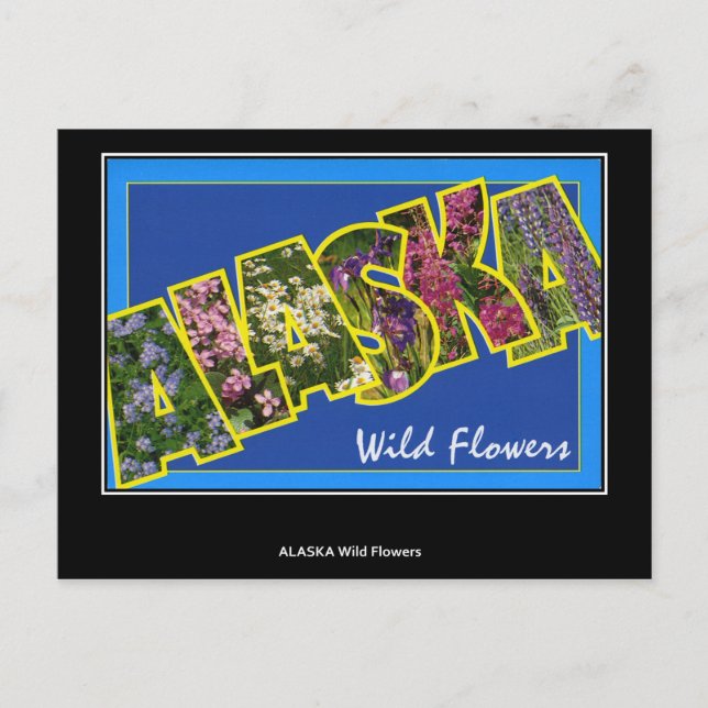 Gruß von Alaska Vintag Postcard Postkarte (Vorderseite)