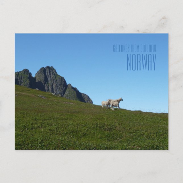 Gruß von der schönen norwegischen Fotokarte Postkarte (Vorderseite)