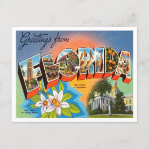 Gruß von Florida Vintage Travel Postkarte