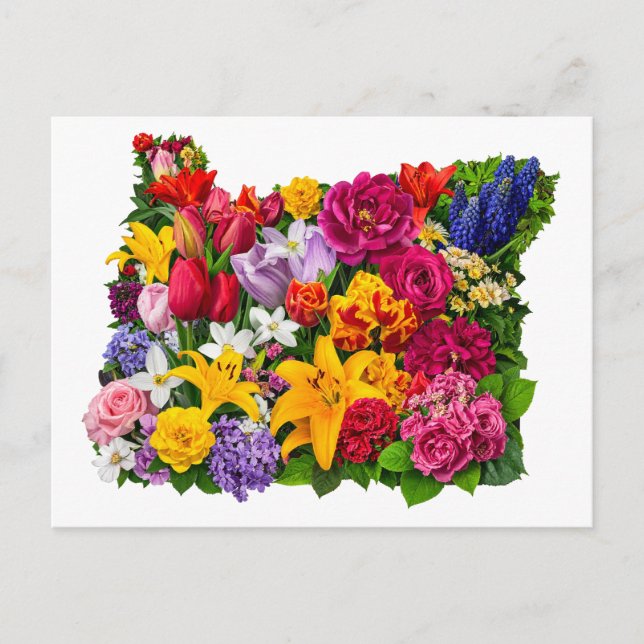 Gruß von Oregon Blume in Bloom Postkarte (Vorderseite)