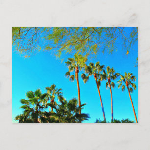 Grüße aus Arizona! Postkarte. Postkarte