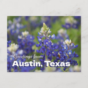 Grüße aus Austin Texas Bluebonnets Postkarte