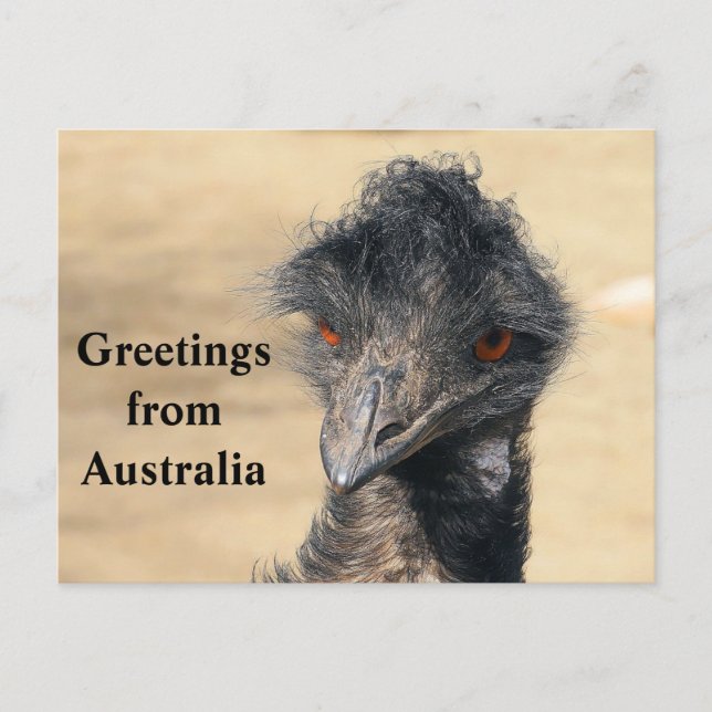 Grüße aus Australien Postkarte (Vorderseite)